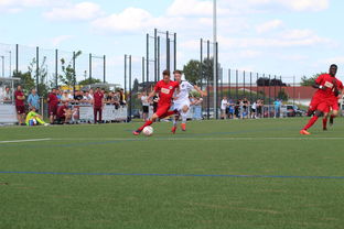 星空官方登录入口-荷兰队在国际赛场持续强势，晋级形势良好